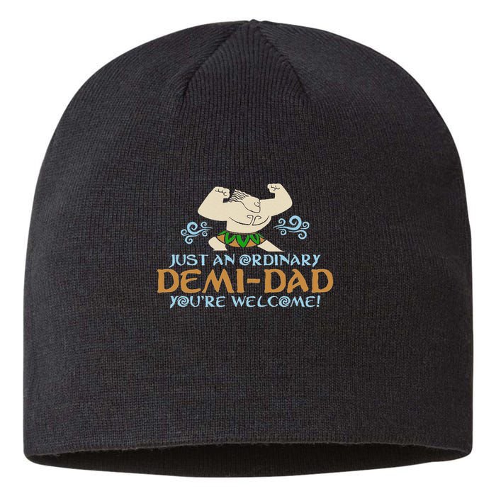Just An Ordinary Demi Dad You're Welcome! 3 Funny Sustainable Beanie