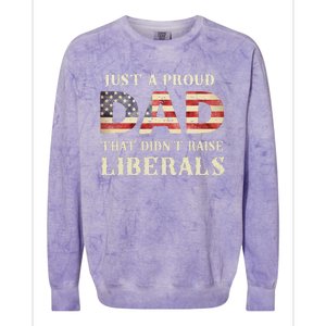 Just A Proud Dad That DidnT Raise Liberals Colorblast Crewneck Sweatshirt