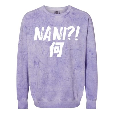 Japanese NANI WHAT Colorblast Crewneck Sweatshirt