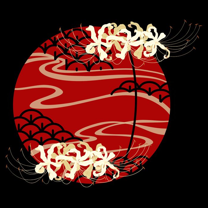 Japanese Spider Lily Womens T-Shirt