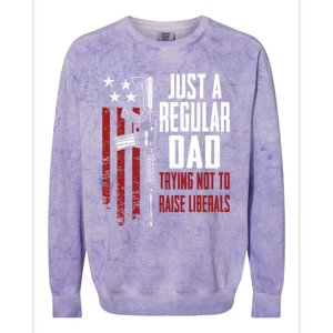 Just A Regular Dad Trying Not To Raise Liberals Funny Gift Gun Rights Gift Colorblast Crewneck Sweatshirt