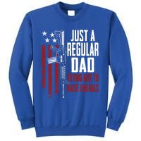 Just A Regular Dad Trying Not To Raise Liberals Funny Gift Gun Rights Gift Sweatshirt