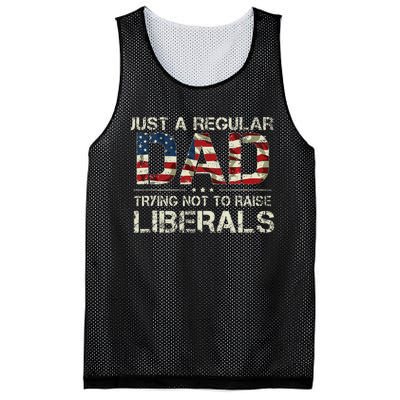 Just A Regular Dad Trying Not To Raise Liberals US Flag Mesh Reversible Basketball Jersey Tank