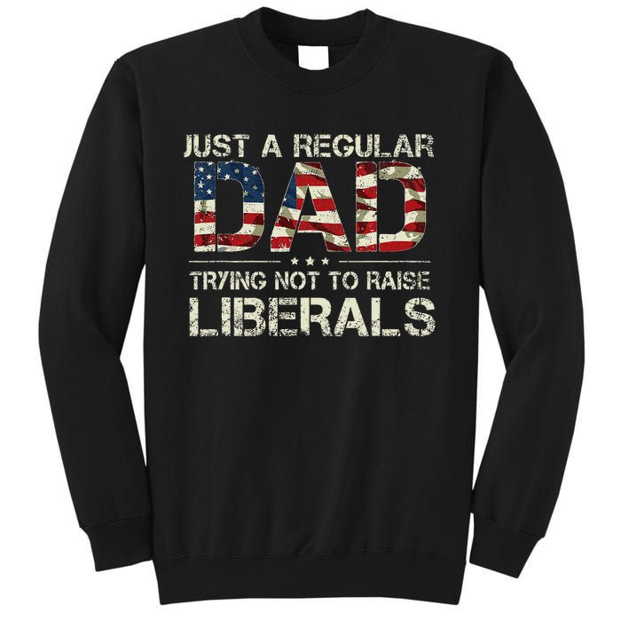 Just A Regular Dad Trying Not To Raise Liberals US Flag Tall Sweatshirt