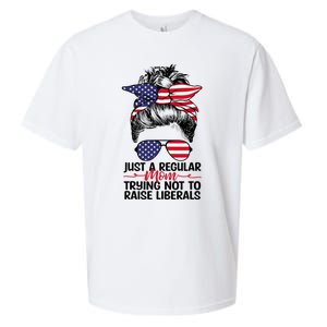 Just A Regular Mom Trying Not To Raise Liberals Sueded Cloud Jersey T-Shirt