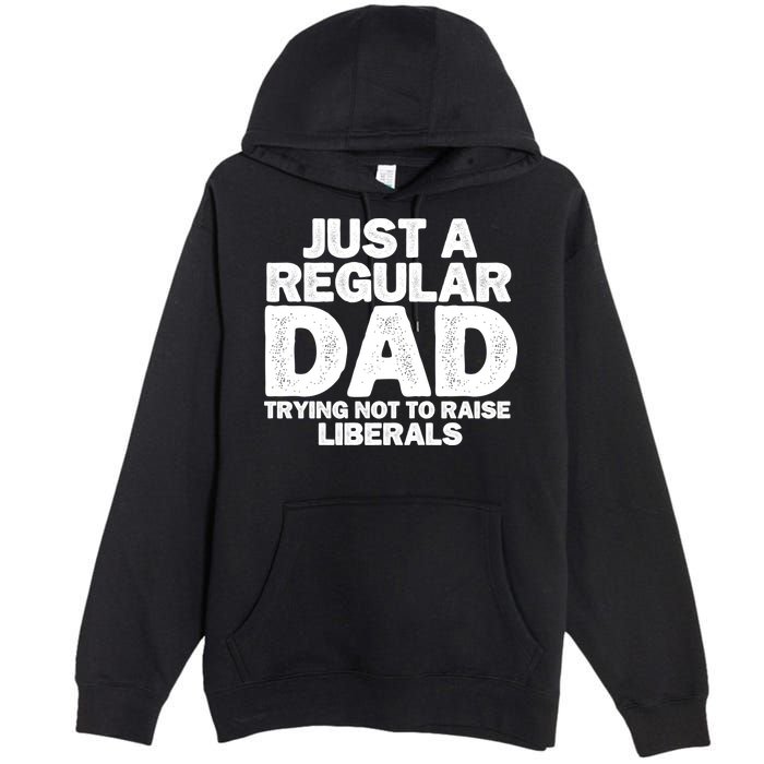 Just A Regular Dad Trying Not To Raise Liberals Premium Pullover Hoodie