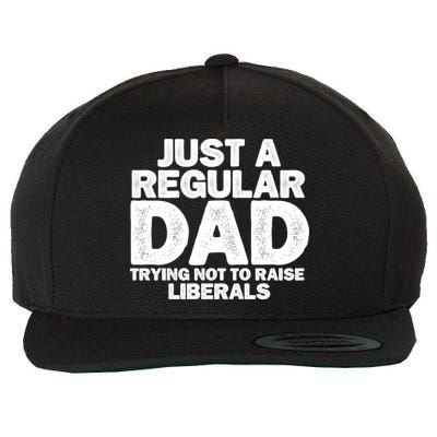 Just A Regular Dad Trying Not To Raise Liberals Wool Snapback Cap
