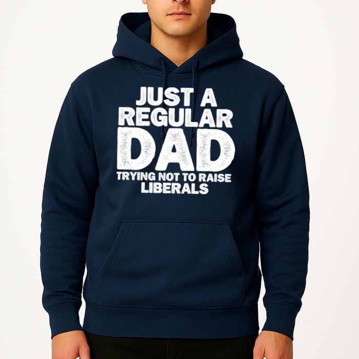 Just A Regular Dad Trying Not To Raise Liberals Hoodie