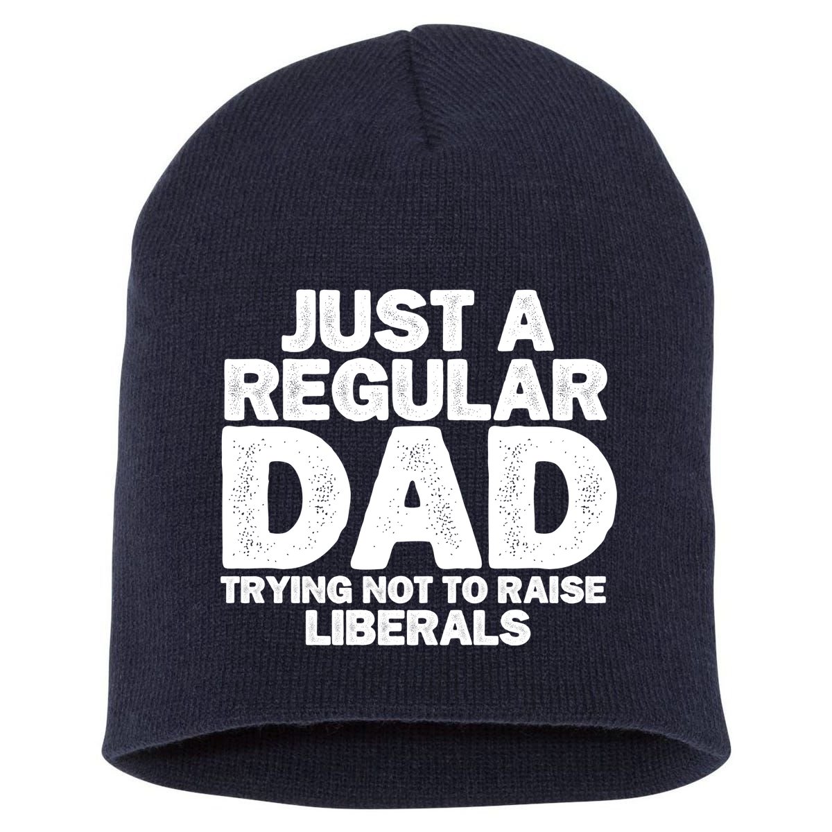 Just A Regular Dad Trying Not To Raise Liberals Short Acrylic Beanie