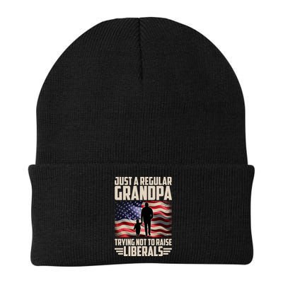 Just A Regular Grandpa Trying Not To Raise Liberals USA American Flag Beanie