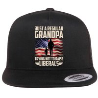 Just A Regular Grandpa Trying Not To Raise Liberals USA American Flag Flatbill Hat