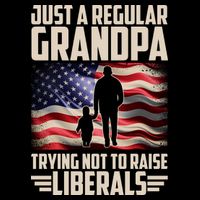 Just A Regular Grandpa Trying Not To Raise Liberals USA American Flag Flatbill Hat