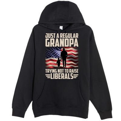 Just A Regular Grandpa Trying Not To Raise Liberals USA American Flag Premium Pullover Hoodie
