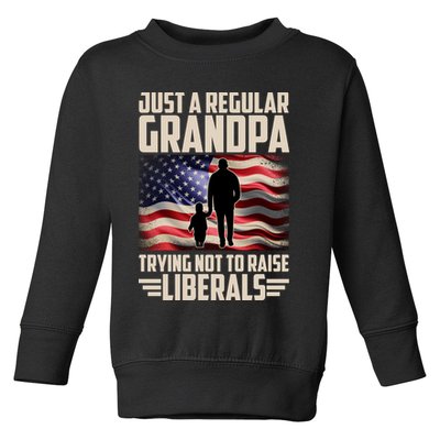 Just A Regular Grandpa Trying Not To Raise Liberals USA American Flag Toddler Sweatshirt