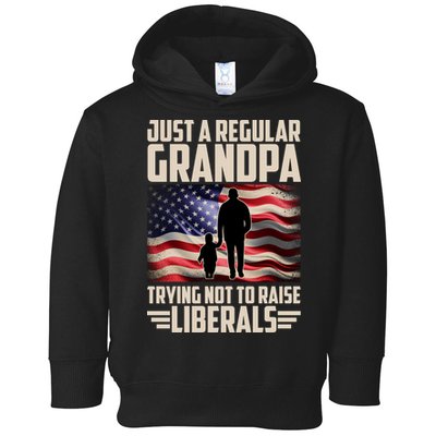 Just A Regular Grandpa Trying Not To Raise Liberals USA American Flag Toddler Hoodie