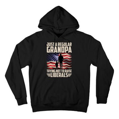 Just A Regular Grandpa Trying Not To Raise Liberals USA American Flag Tall Hoodie