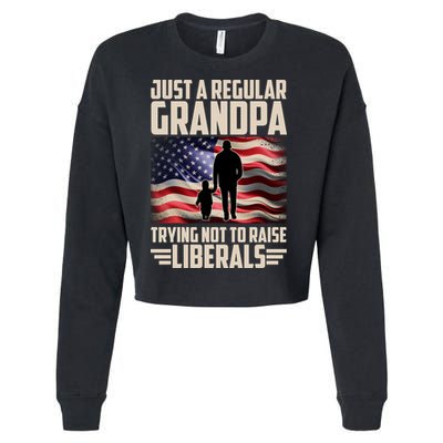 Just A Regular Grandpa Trying Not To Raise Liberals USA American Flag Cropped Pullover Crew