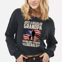 Just A Regular Grandpa Trying Not To Raise Liberals USA American Flag Cropped Pullover Crew