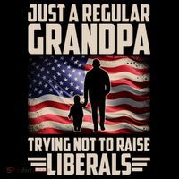 Just A Regular Grandpa Trying Not To Raise Liberals USA American Flag Womens T-Shirt