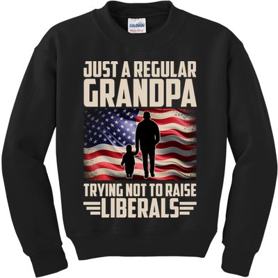 Just A Regular Grandpa Trying Not To Raise Liberals USA American Flag Kids Sweatshirt