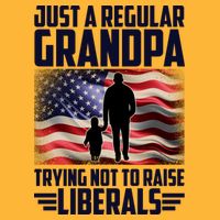 Just A Regular Grandpa Trying Not To Raise Liberals USA American Flag T-Shirt