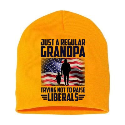 Just A Regular Grandpa Trying Not To Raise Liberals USA American Flag Short Acrylic Beanie