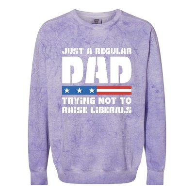 Just A Regular Dad Trying Not To Raise Liberals Colorblast Crewneck Sweatshirt