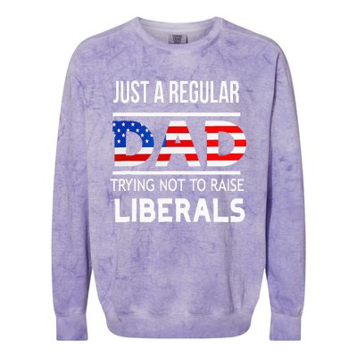 Just A Regular Dad Trying Not To Raise Liberals Fathers Day Colorblast Crewneck Sweatshirt