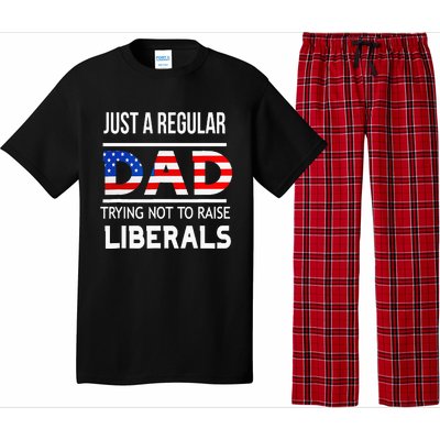 Just A Regular Dad Trying Not To Raise Liberals Fathers Day Pajama Set