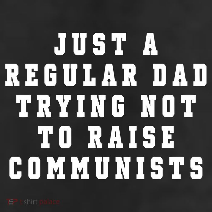 Just A Regular Dad Trying Not To Raise Communists Beanie