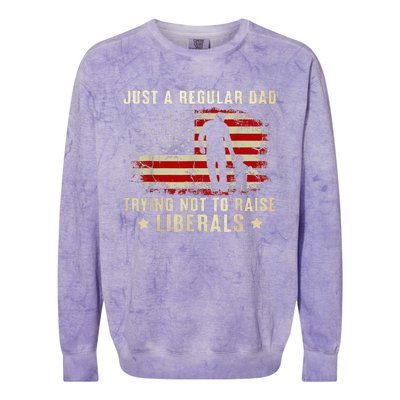 Just A Regular Dad Trying Not To Raise Liberals Fathers Day Colorblast Crewneck Sweatshirt