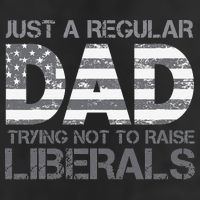 Just A Regular Dad Trying Not To Raise Liberals Father's Day Garment-Dyed Fleece Hoodie