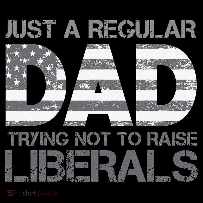 Just A Regular Dad Trying Not To Raise Liberals Father's Day Sweatshirt