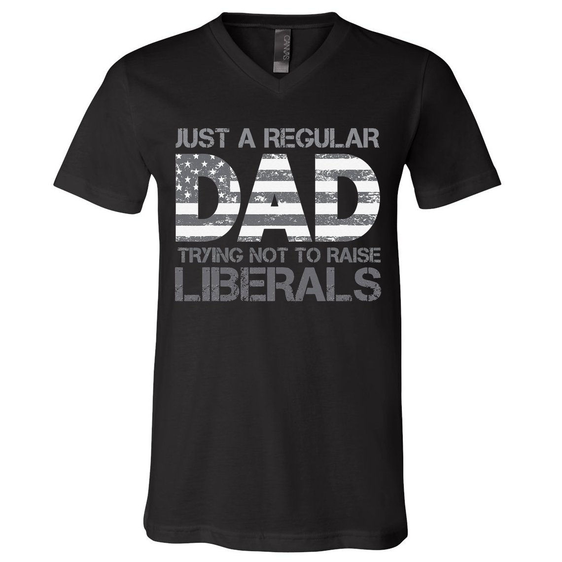 Just A Regular Dad Trying Not To Raise Liberals Father's Day V-Neck T-Shirt
