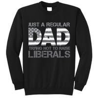 Just A Regular Dad Trying Not To Raise Liberals Father's Day Tall Sweatshirt