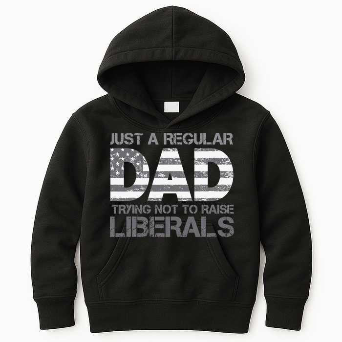 Just A Regular Dad Trying Not To Raise Liberals Father's Day Kids Hoodie
