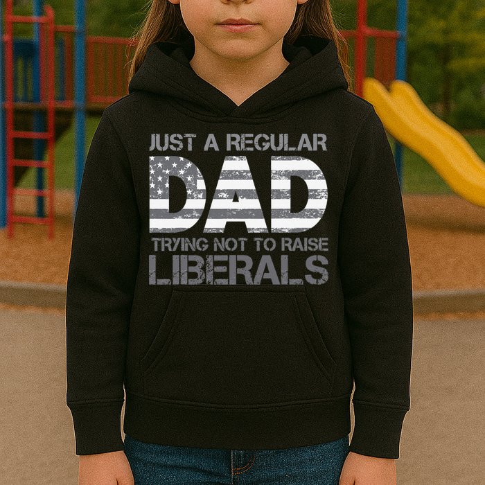 Just A Regular Dad Trying Not To Raise Liberals Father's Day Kids Hoodie