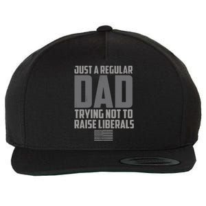 Just A Regular Dad Trying Not To Raise Liberals Wool Snapback Cap