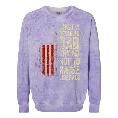 Just A Regular Dad Trying Not To Raise Liberals FatherS Day Colorblast Crewneck Sweatshirt