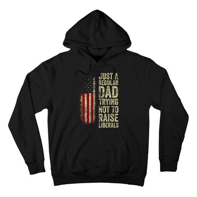 Just A Regular Dad Trying Not To Raise Liberals FatherS Day Hoodie