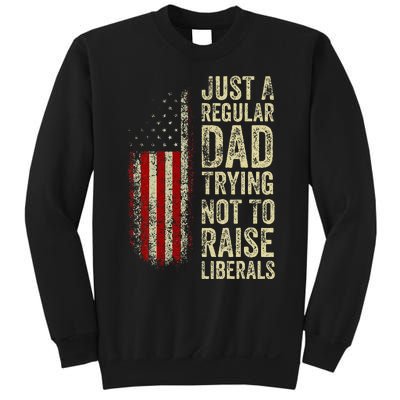 Just A Regular Dad Trying Not To Raise Liberals FatherS Day Sweatshirt