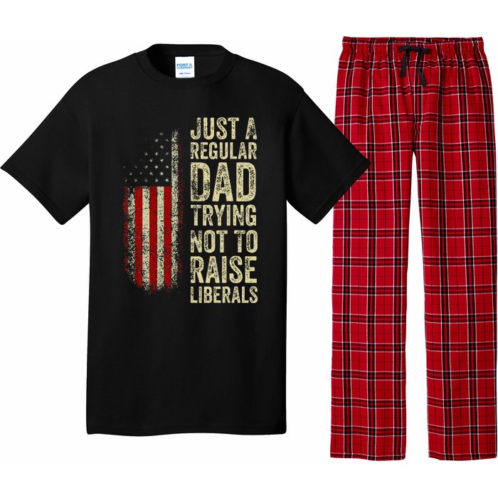 Just A Regular Dad Trying Not To Raise Liberals FatherS Day Pajama Set