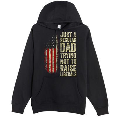 Just A Regular Dad Trying Not To Raise Liberals FatherS Day Premium Pullover Hoodie