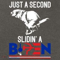 Just A Second Slidin' A Biden Cotton Canvas Backpack