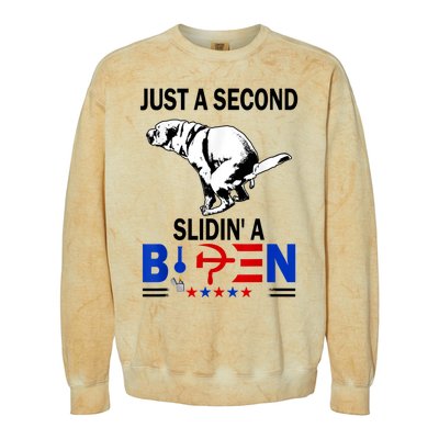 Just A Second Slidin' A Biden Colorblast Crewneck Sweatshirt