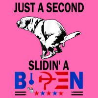 Just A Second Slidin' A Biden Stripe Pom Pom Beanie