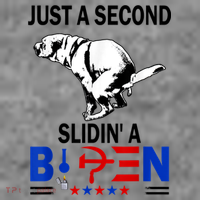 Just A Second Slidin' A Biden 7-Panel Snapback Hat