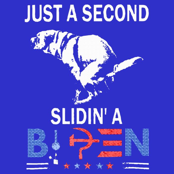 Just A Second Slidin A Biden Magnet