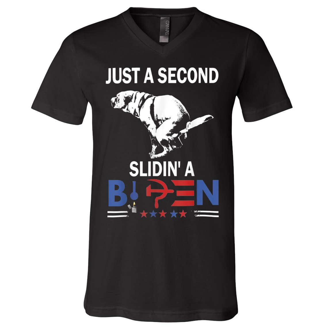Just A Second Slidin' A Biden V-Neck T-Shirt