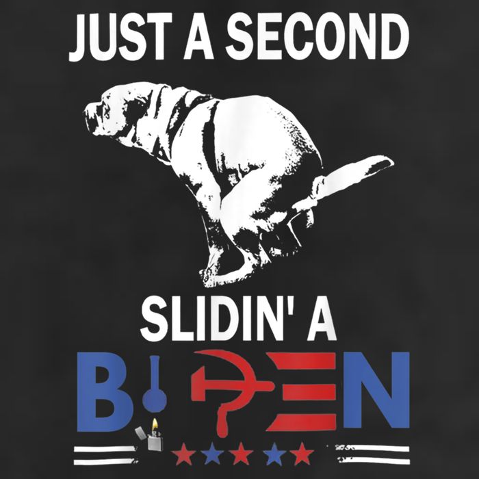 Just A Second Slidin' A Biden 11oz C Handle Ceramic Mug
